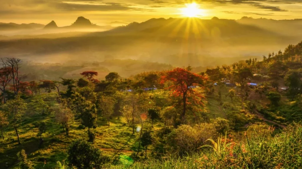 5 Destinasi Wisata Bojonegoro untuk Libur Nataru Bersama Keluarga