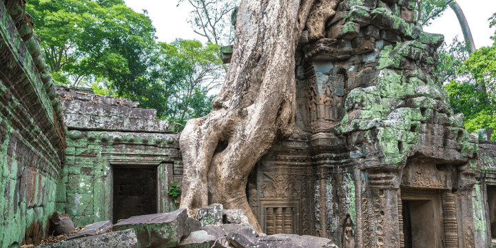 Fenomena Akar Pohon, Tetakel Raksasa dari Langit