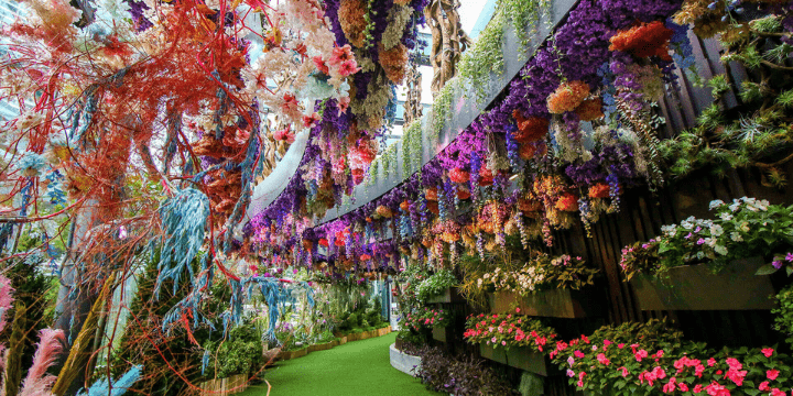 Floral Fantasy, Estetika Bunga yang Memanjakan Mata