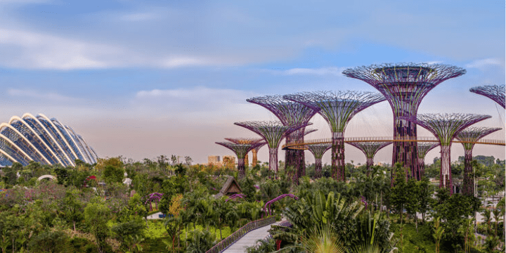 Gardens by the Bay
