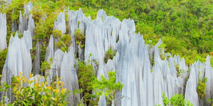 Gunung Mulu National Park