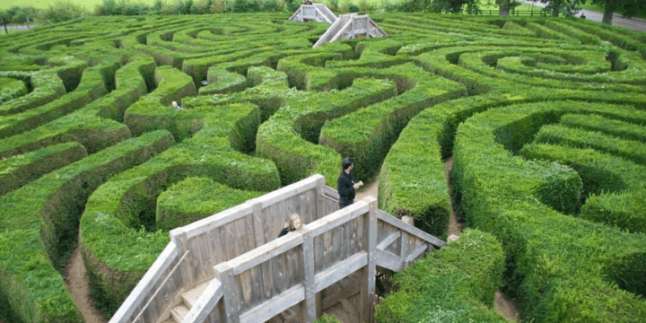 Hedge Maze, Labirin Tanaman Terbesar di Singapura