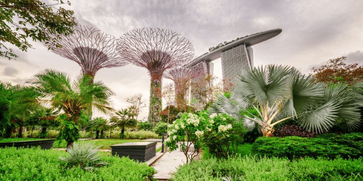 Kemegahan Supertree Grove, Ikon Vertikal yang Mendunia