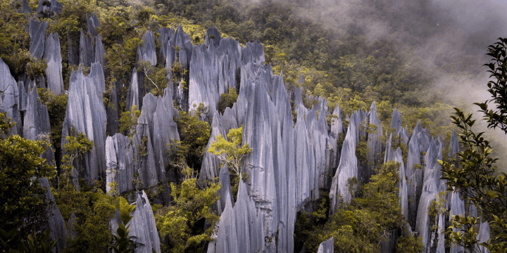 Menaklukkan The Pinnacles, Menatap PedangBatu Raksasa