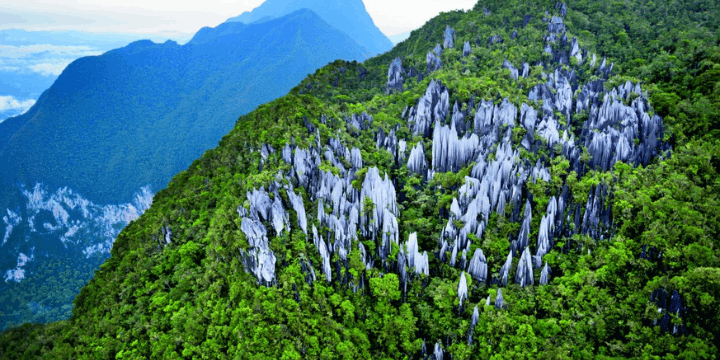 Mengapa Gunung Mulu National Park Begitu Istimewa di Mata Dunia