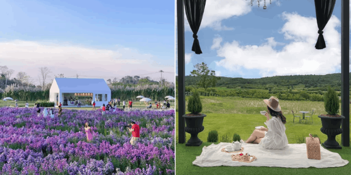 Mengapa Khao Yai Disebut Sebagai Eropa Kecil