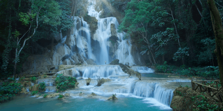 Tat Kuang Si Bear Rescue Centre, Misi Konservasi di Tengah Wisata
