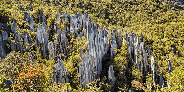Waktu Terbaik untuk Berkunjung