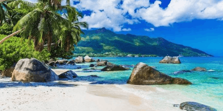 Aktivitas Seru yang Bisa Dilakukan