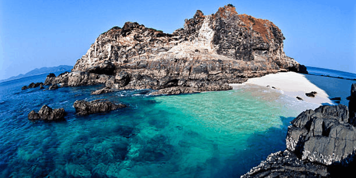 Keanekaragaman Hayati Hutan Hujan dan Satwa Endemik