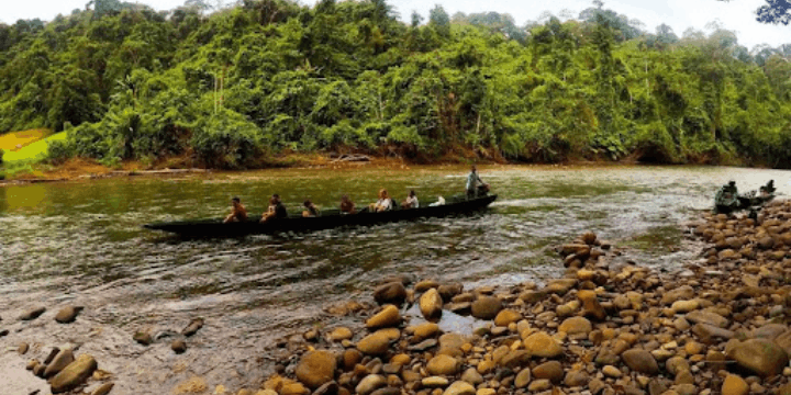 Pentingnya Konservasi Ulu Temburong, Menjaga Permata Hijau Tetap Bersinar