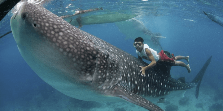 Tips Perjalanan, Waktu Terbaik dan Logistik