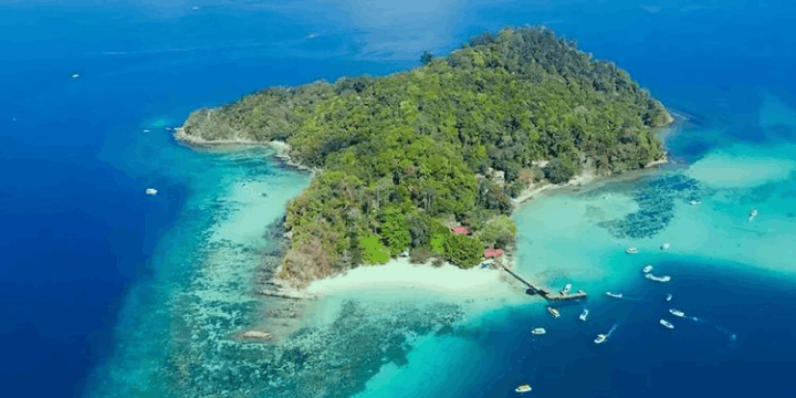 Area Snorkeling Terbaik di Pulau Manukan