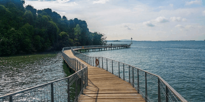 Keajaiban Ekosistem di Chek Jawa Wetlands