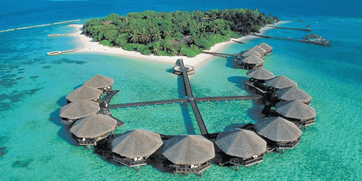 Pesona Bawah Laut Pulau Derawan, Bertemu Penyu Hijau dan Pari Manta