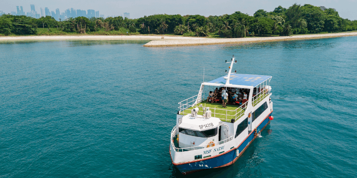 Tips Persiapan Logistik, Apa yang Harus Dibawa