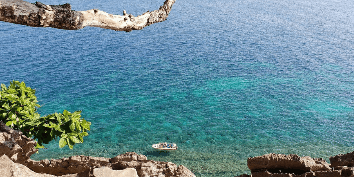 Akomodasi Ramah Lingkungan, Menyatu dengan Alam