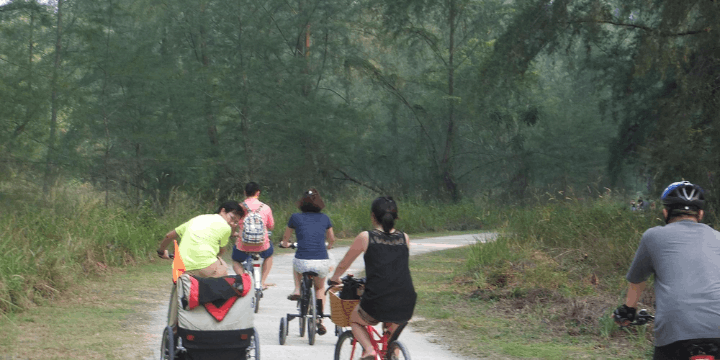Aktivitas Bersepeda Menyusuri Jalur Hutan Casuarina
