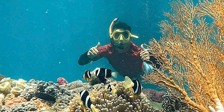 Aktivitas Snorkeling dan Melihat Keanekaragaman Bawah Laut