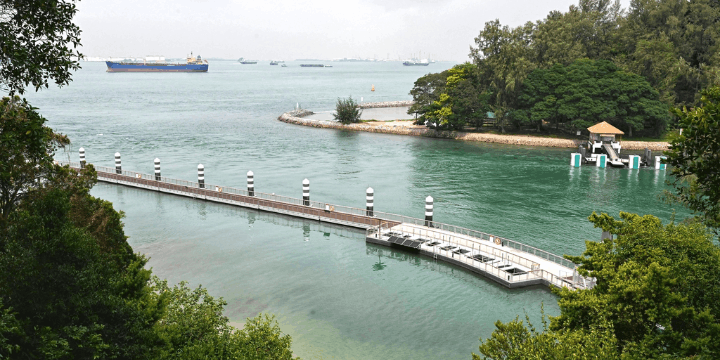 Forest Encounter, Menjelajahi Ekosistem Daratan Pulau