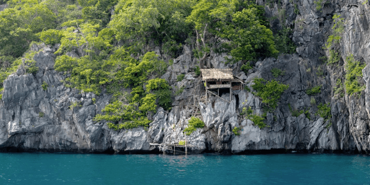 Jalur Trekking Menembus Hutan Hujan Tropis