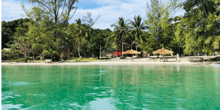 Keajaiban Plankon Bercahaya, Momen Magis di Malam Hari