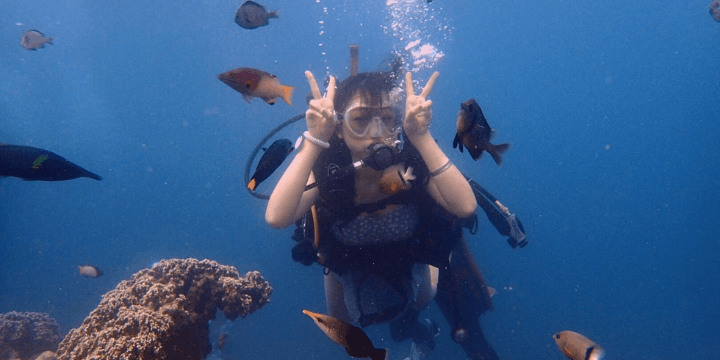 Keanekaragaman Hayati Bawah Laut yang Menakjubkan