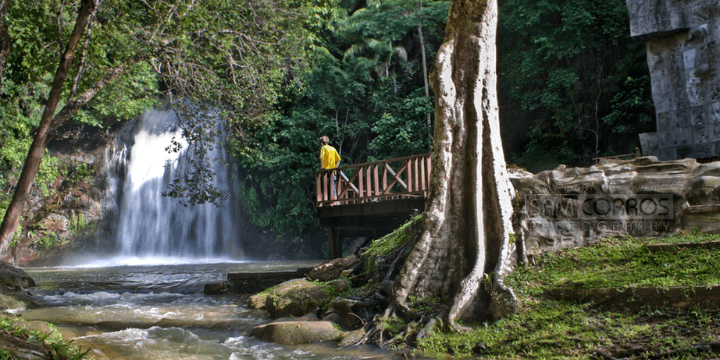 Keanekaragaman Hayati, Menemukan Flora dan Fauna Unik