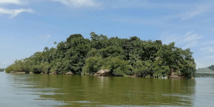 Keanekaragaman Hayati, Surga Bagi Pengamat Burung