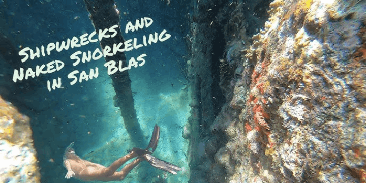 Keindahan Bawah Laut di Sekitar Sandbar