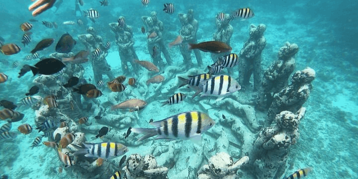 Keindahan Bawah Laut yang Masih Terjaga