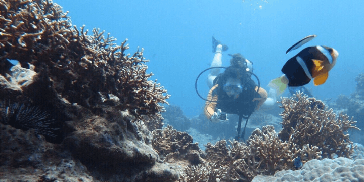 Pesona Alam Hon Mun Island, Surga Hitam di Tengah Laut