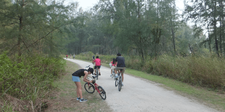 Sejarah Singkat Pulau Coney, Dari Swasta hingga Ruang Publik