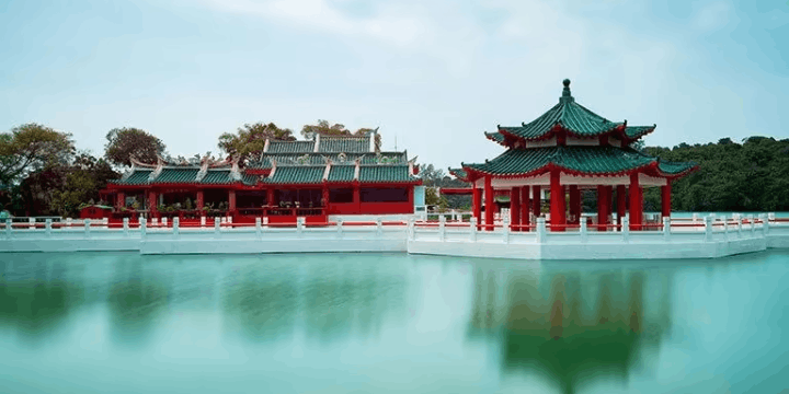 Sejarah dan Legenda Kura-kura yang Melegenda