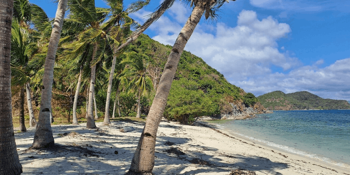 Waktu Terbaik untuk Berkunjung ke Coron